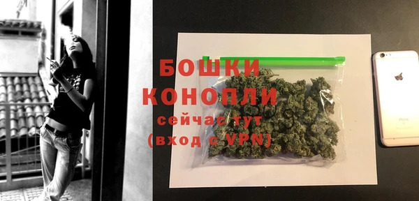 прущие грибы Беломорск