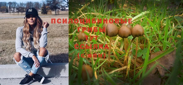 a pvp Белокуриха