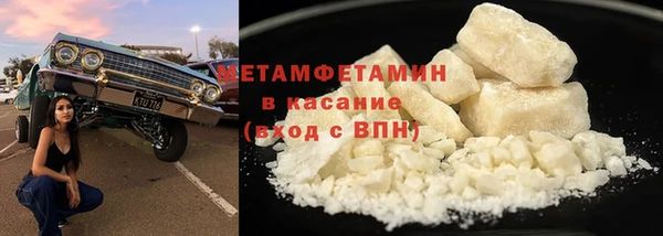 прущие грибы Беломорск