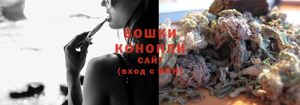 a pvp Белокуриха
