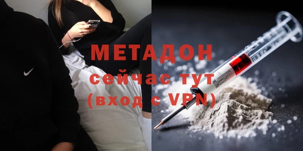 прущие грибы Беломорск