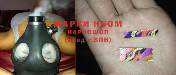 прущие грибы Беломорск