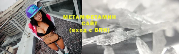 прущие грибы Беломорск