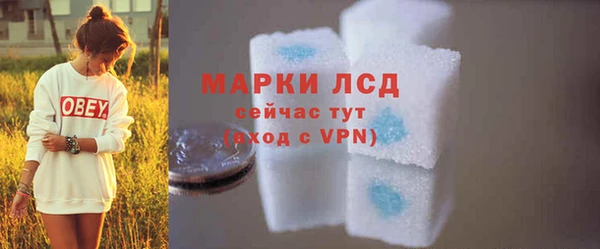 прущие грибы Беломорск