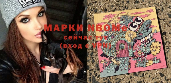 прущие грибы Беломорск