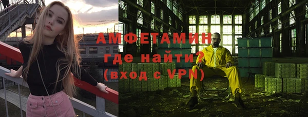 прущие грибы Беломорск