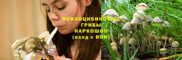 прущие грибы Беломорск